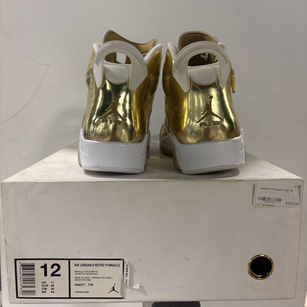 Jordan 6 Pinnacle size 12