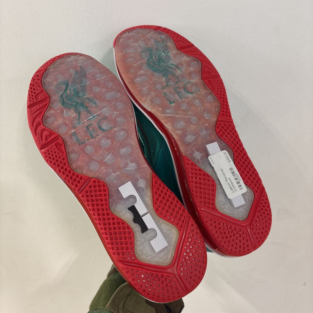 Lebron Reverse Liverpool SZ 11