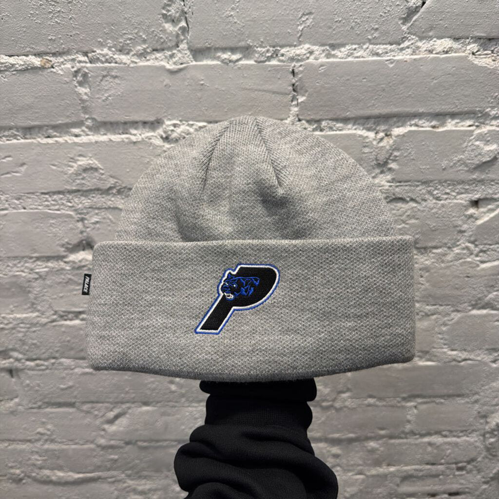 PALACE BEANIE ( GRY ) OS