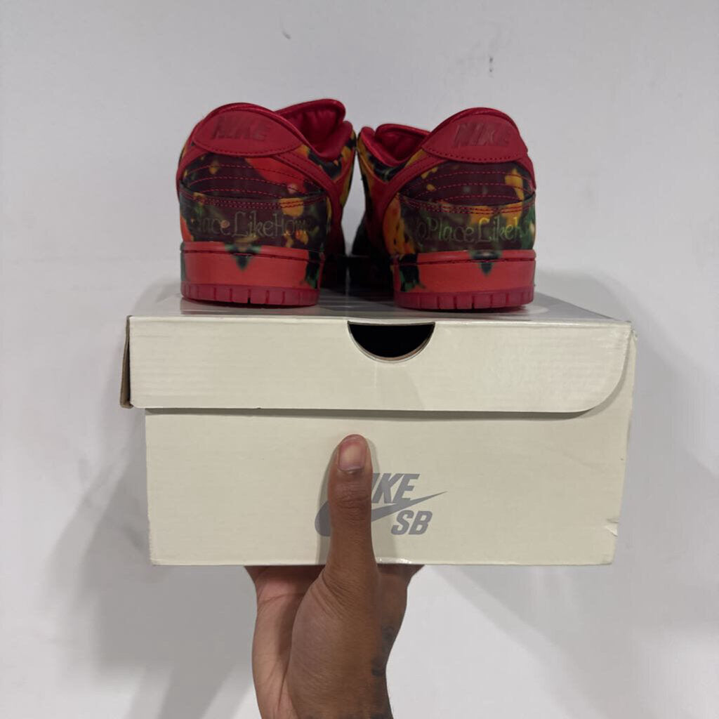 NIKE SB WIZARD OF OZ POPPY FIELD SZ 10.5M