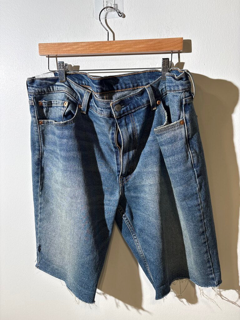 VINTAGE JORT SZ 38W