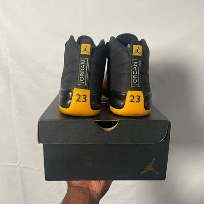 Jordan 12 University Gold Sz. 7