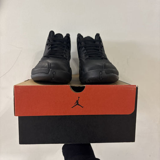 Jordan 12 Winterized
