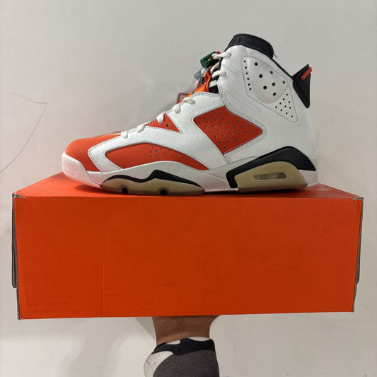 Jordan 6 Gatorade