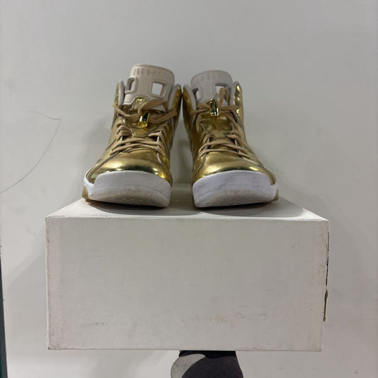 Jordan 6 pinnacle