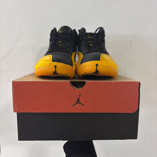 Jordan 12 Univ