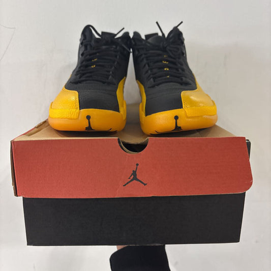 Jordan 12 Unive