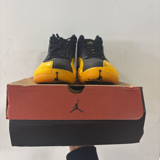 Jordan 12 Unive