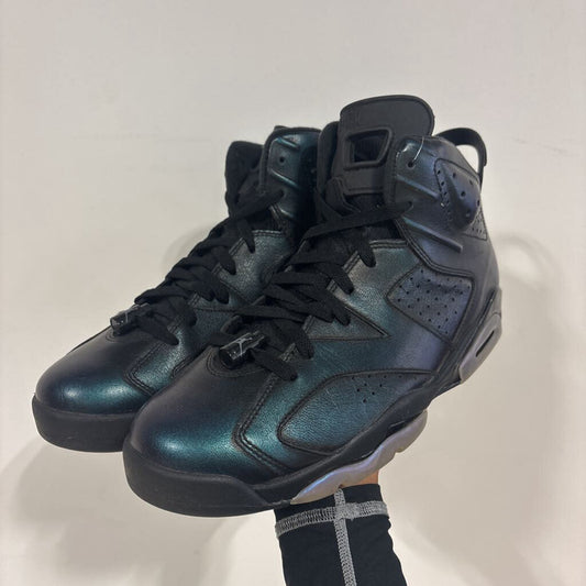 Jordan 6 Chameleon Sz 10.5 (NO BOX)
