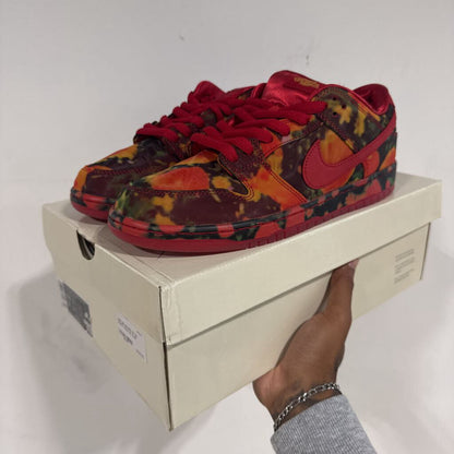 NIKE SB WIZARD OF OZ POPPY FIELD SZ 10.5M