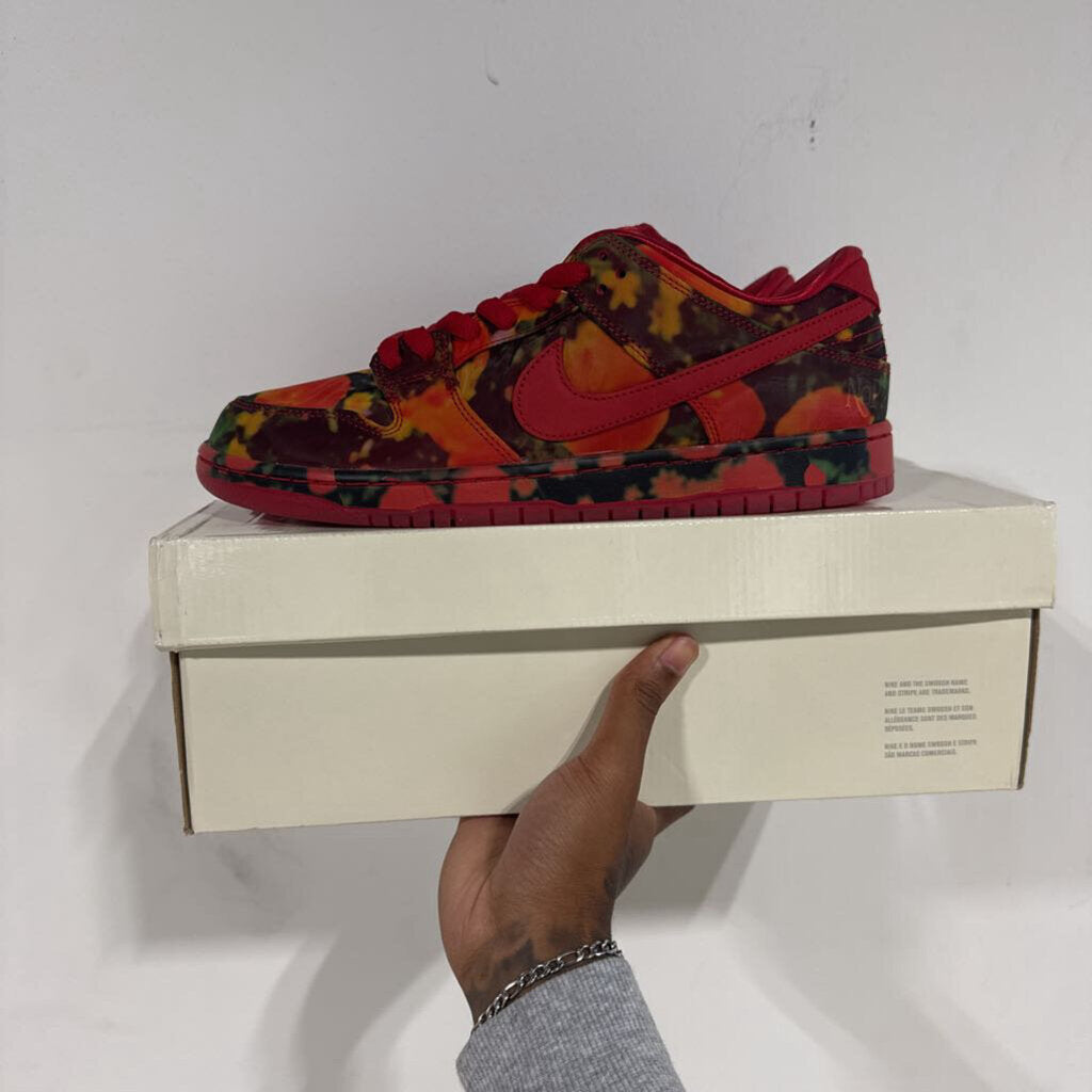 NIKE SB WIZARD OF OZ POPPY FIELD SZ 10.5M