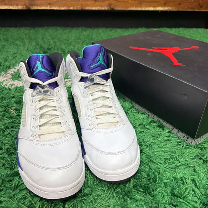 JORDAN 5 "GRAPE" SZ 11 (BOX)