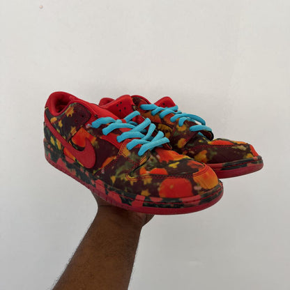 Nike Wiz Of Oz Dunks Sz. 13