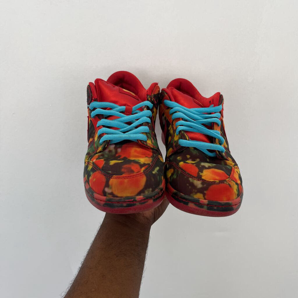 Nike Wiz Of Oz Dunks Sz. 13