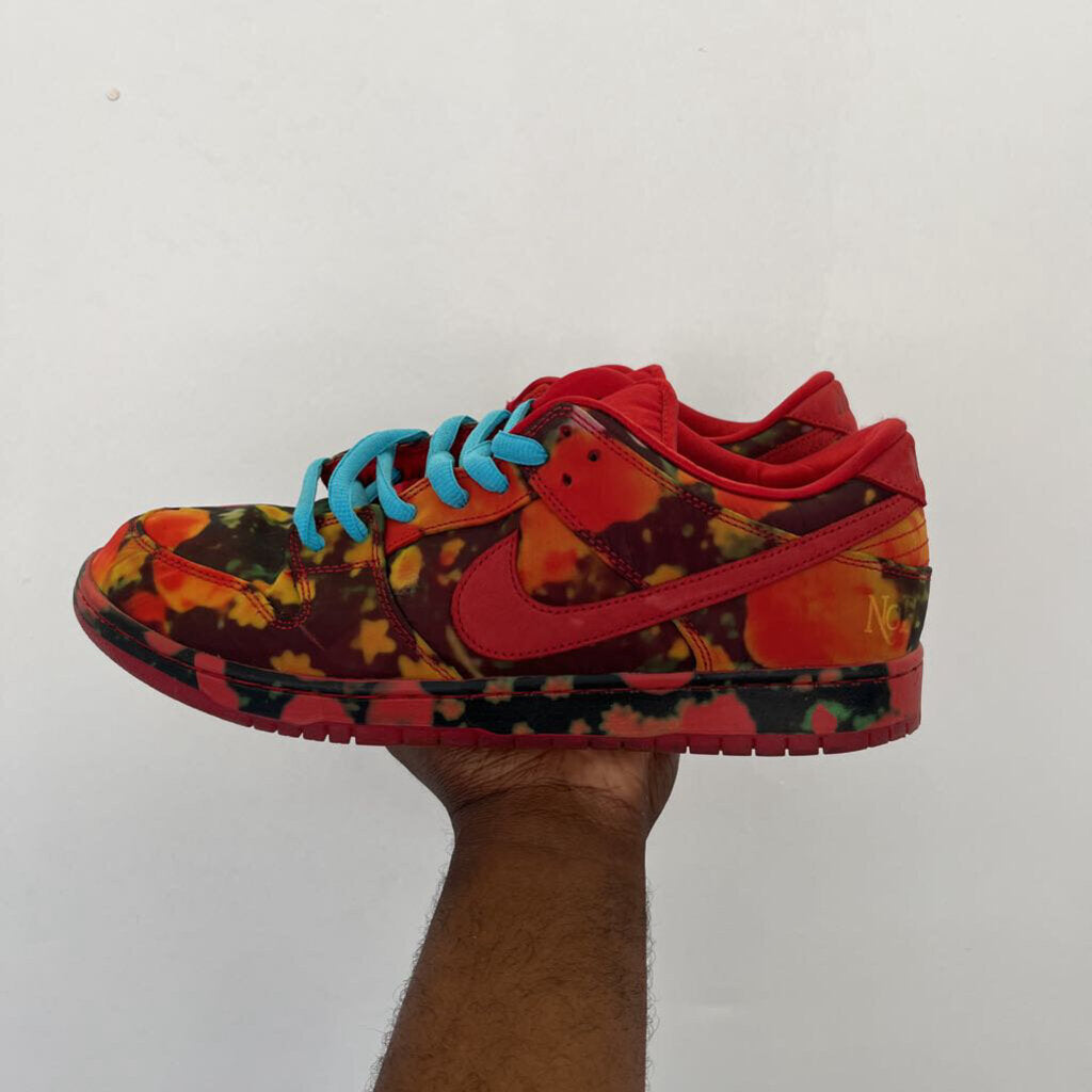 Nike Wiz Of Oz Dunks Sz. 13