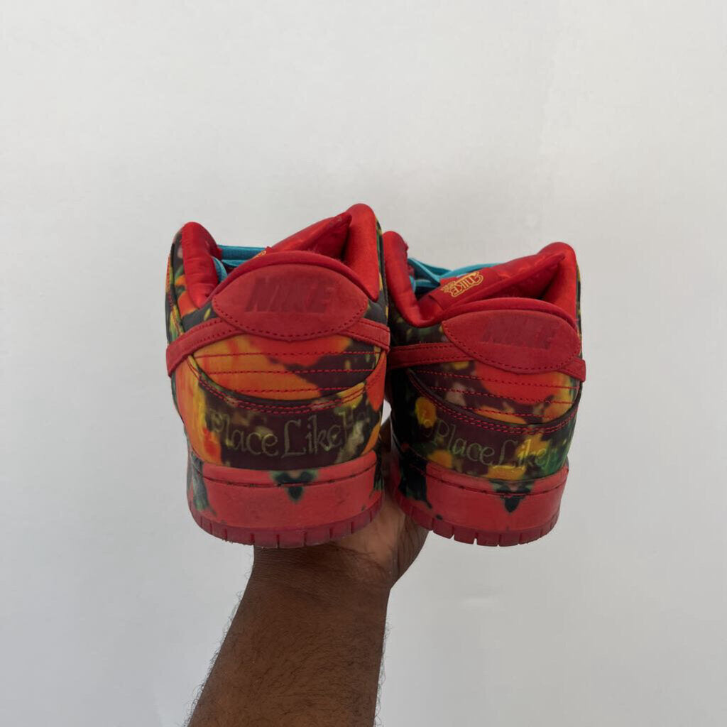 Nike Wiz Of Oz Dunks Sz. 13