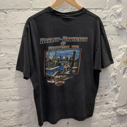HARLEY DAVIDSON TEE SZ L