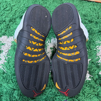 TAXI JORDAN 12 SZ 9