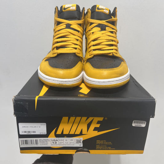 JORDAN 1 POLLEN // 13